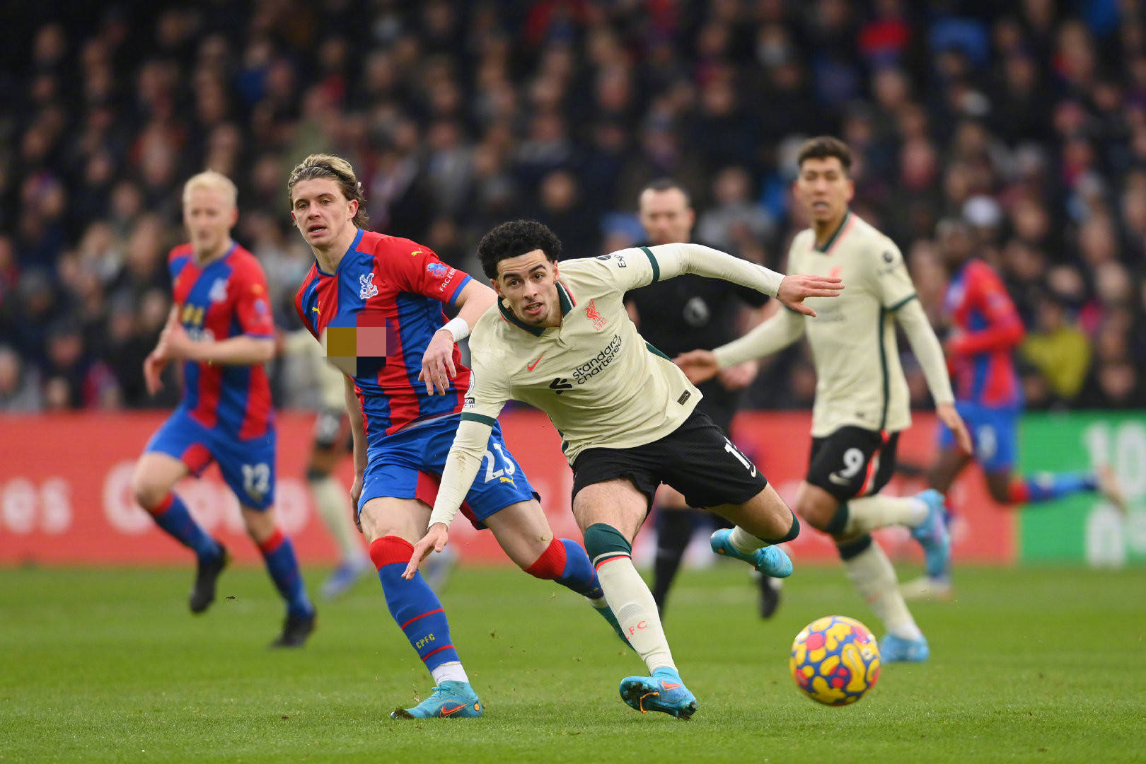 没有任何新 没有任何新