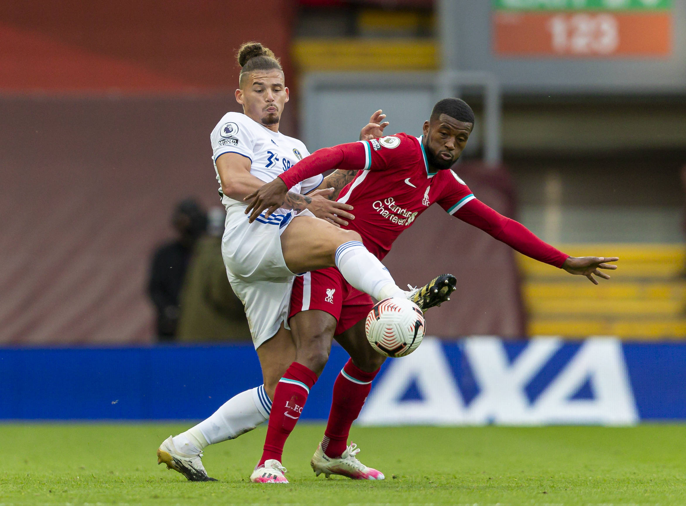 从近年来的 从近年来的